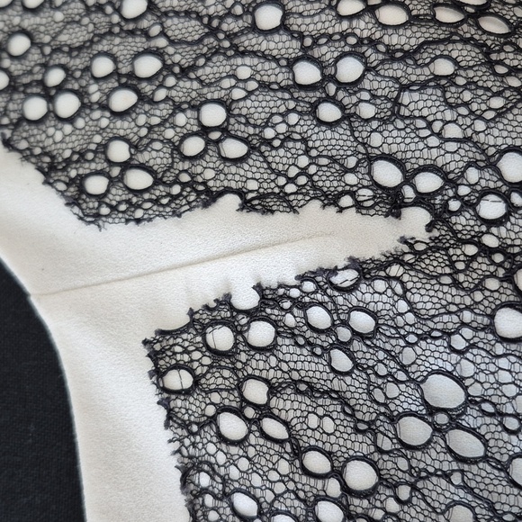 Bcbg Maxazria Rumor Dress White Black Lace Blocked Sheath Dress Size 8 - Picture 8 of 17